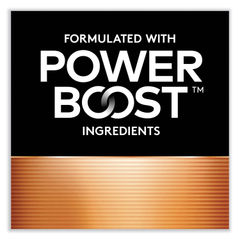 Power Boost CopperTop Alkaline AAA Batteries, 10/Pack